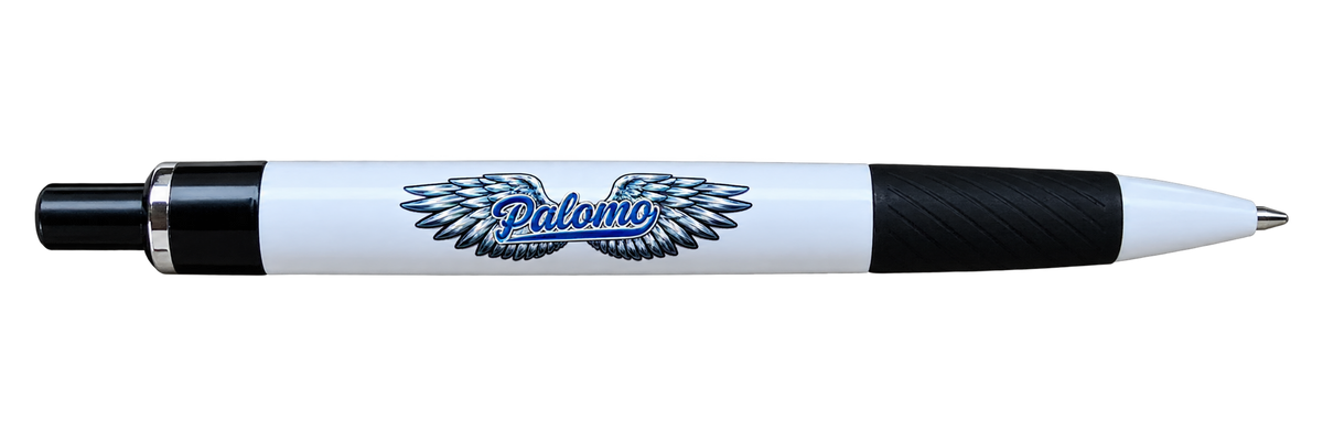 Pluma tinta negra